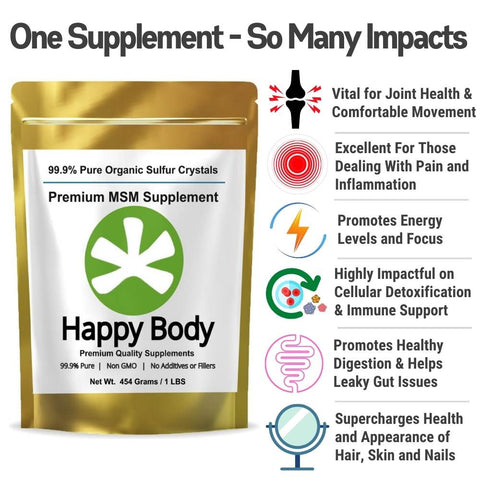 Premium MSM Supplement - 1 LBS Pack