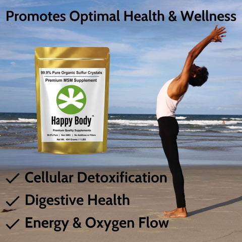 Premium MSM Supplement - 1 LBS Pack