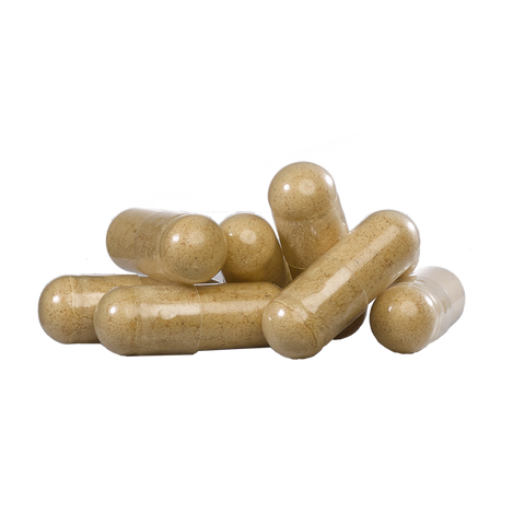 Perfect Cordyceps - Organic 90 Capsules