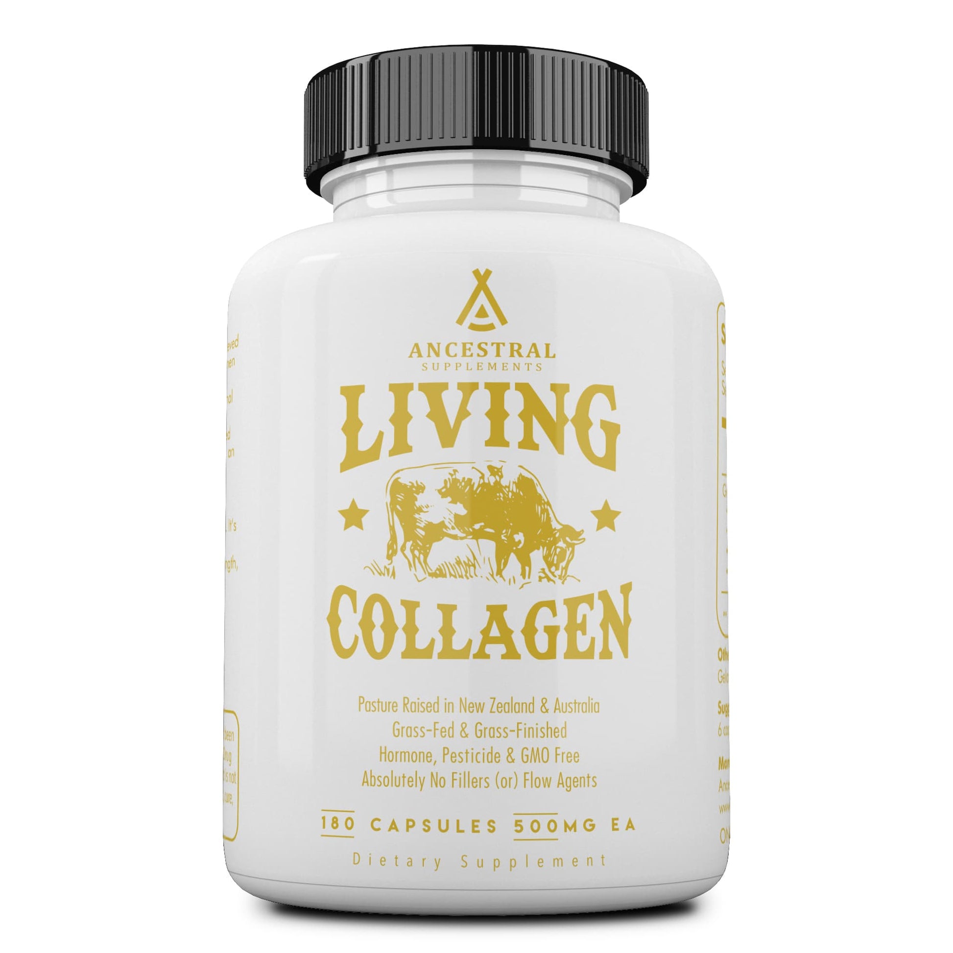 Ancestral Supplements- Ancestral Supplements Living Collagen