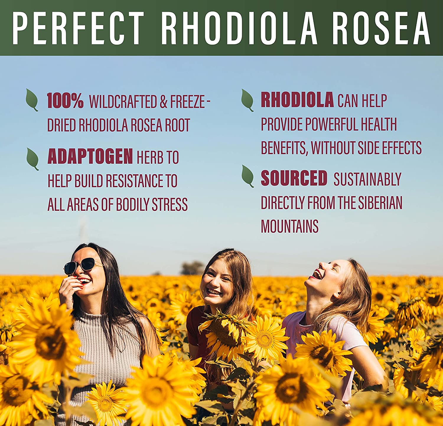 que es rhodiola rosea  rhodiola herb  rhodiola rosea root extract  rhodiola root extract  rhodiola rosea root  rhodiola rosea extract  rhodiola benefits  rhodiola root  rhodiola rosea  rhodiola extract